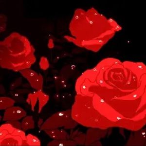 Meet your Posher, Ana